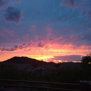 Meet your Posher, Darya